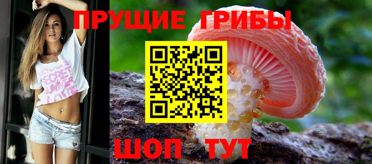 Псилоцибиновые грибы мицелий Нижнеудинск