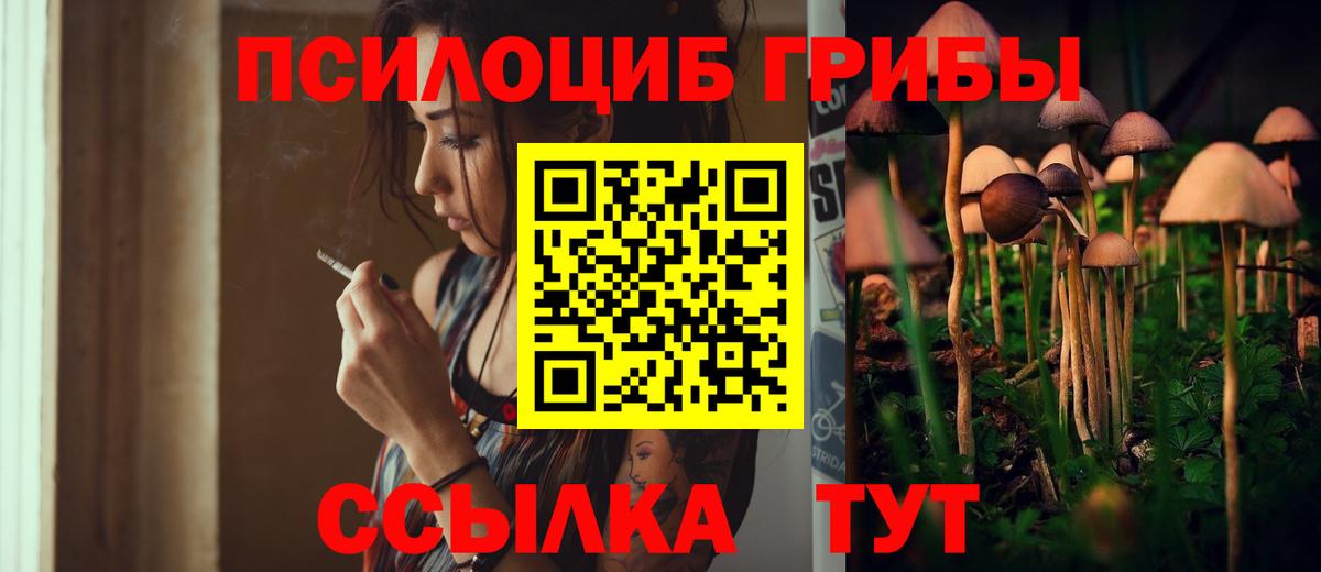 купить  цена  Вход с VPN  Нижнеудинск  Псилоцибиновые грибы ЛСД 
